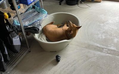 Adjusting to her new position well, need any he…