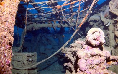 Back on the USS Emmons. #reefencounters #naui #…
