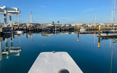 Headed out for freediving with whales !’n