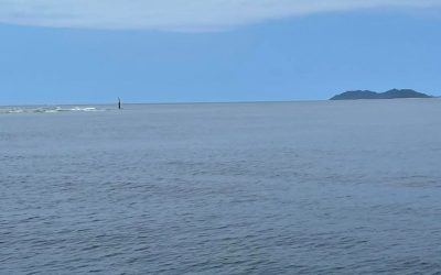 Beautiful day for diving! Drifting the channels…