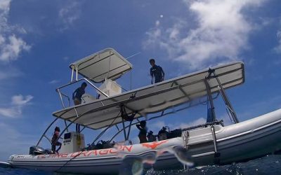 Today’s snorkeling trip
#diving #snorkeling #ke…