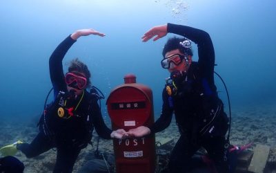 Introductory Diving