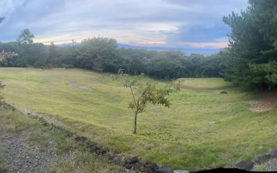 Exciting things coming soon @Izu Oshima – Tokyo…